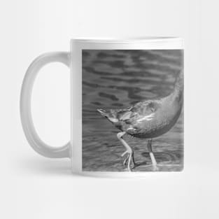 black and white Common gallinule Mug